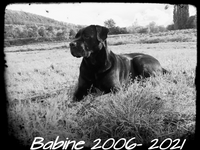 Babine 2006- 2021