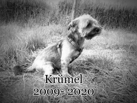 Kr&uuml;mel 2009-2020