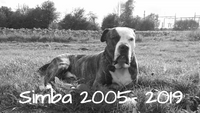 Simba 2005- 2019