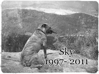 Sky 1997- 2011